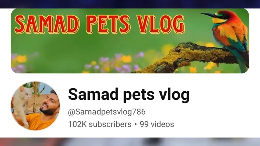 milestone samad pets vlog 