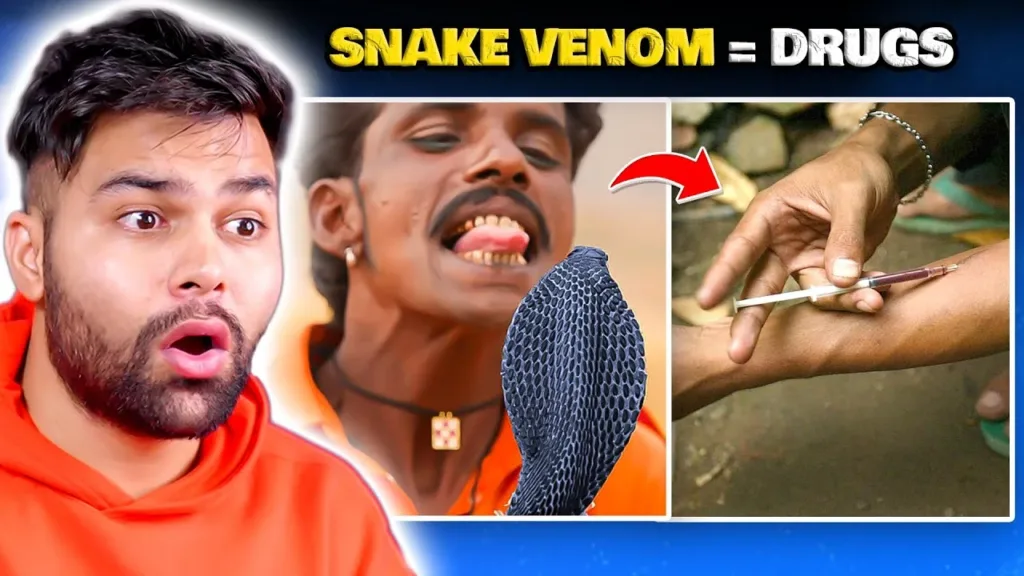 Dihru Monchik Snake Venom Elvish Yadav