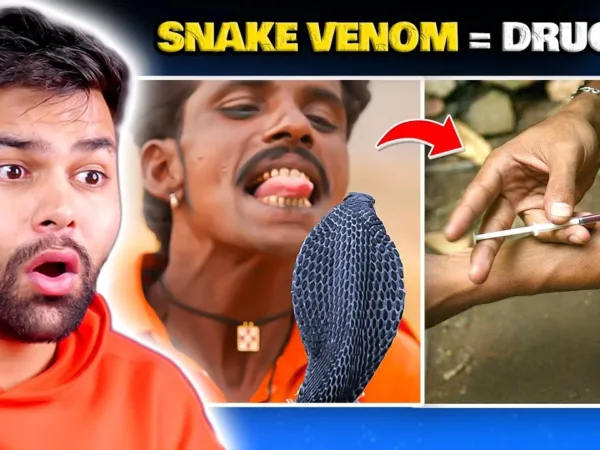 Dihru Monchik Snake Venom Elvish Yadav