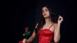 Anisha Dixit Animal Movie Controversy Dhruv Rathee