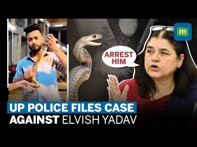 Elvish Yadav Reaction on News Reporter Snake Venom Case ! #elvish